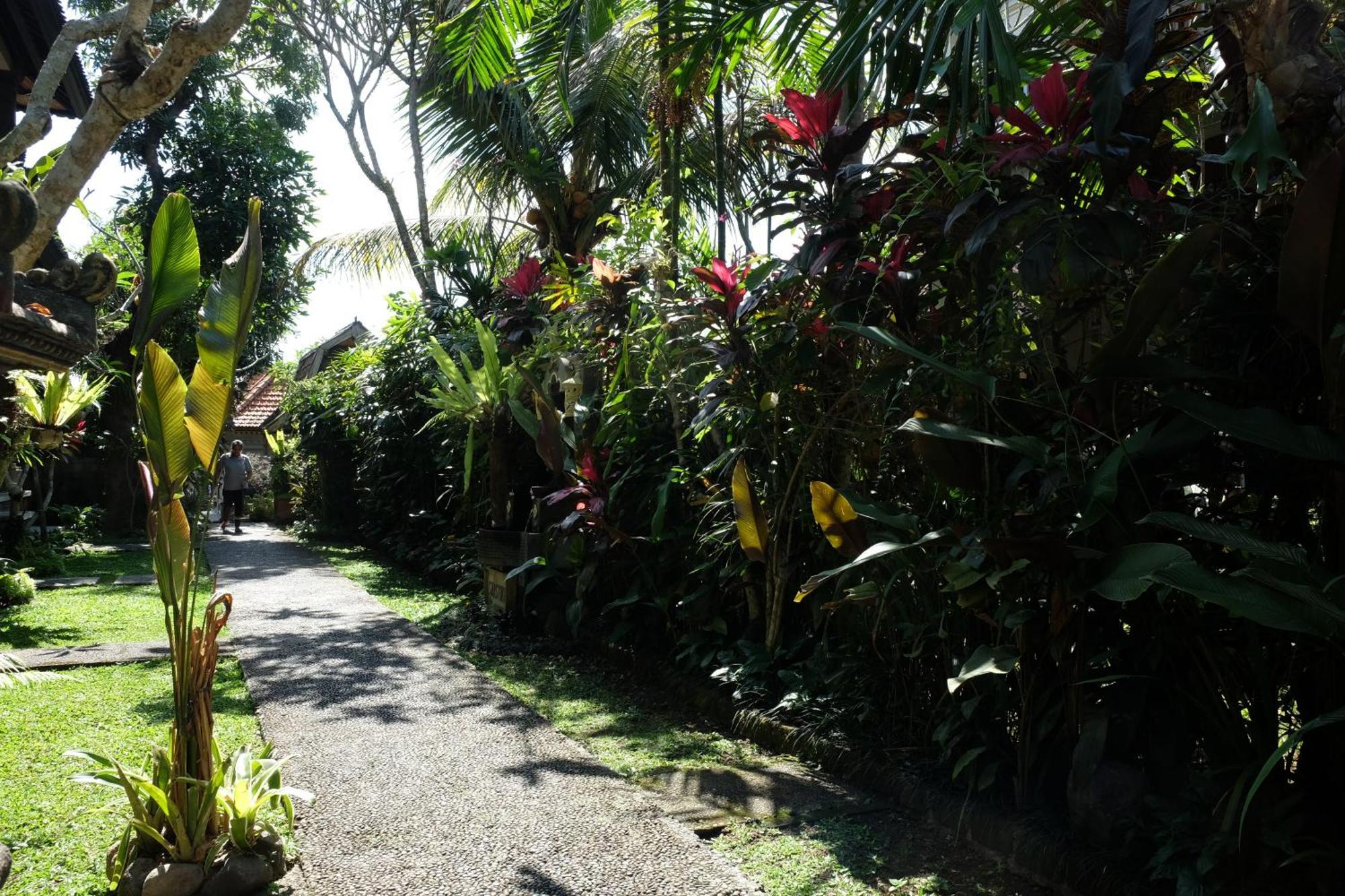 Suastika Guest House Ubud Zewnętrze zdjęcie