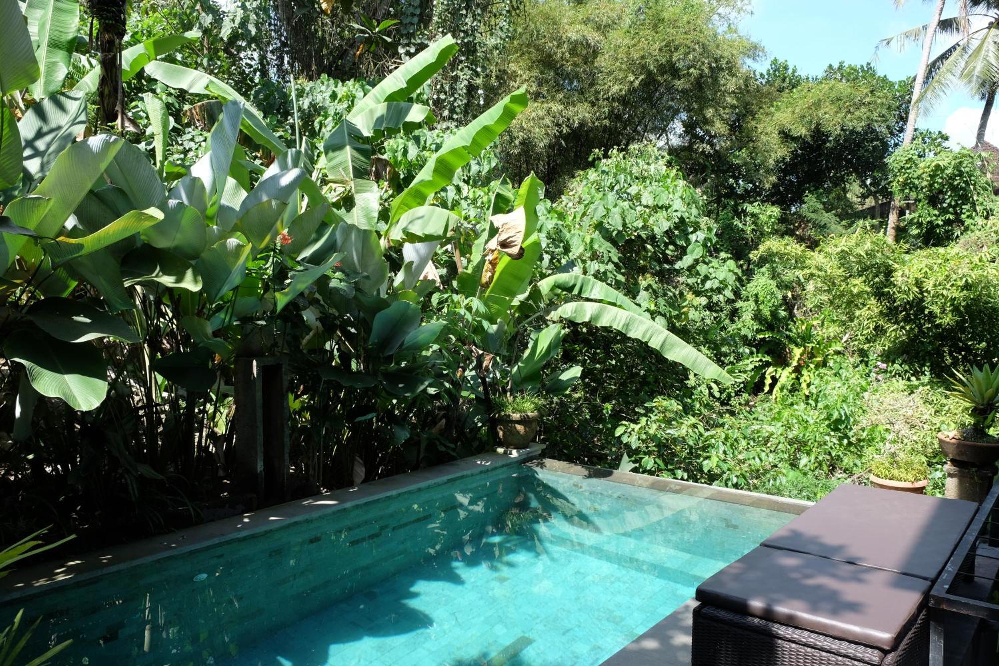 Suastika Guest House Ubud Zewnętrze zdjęcie