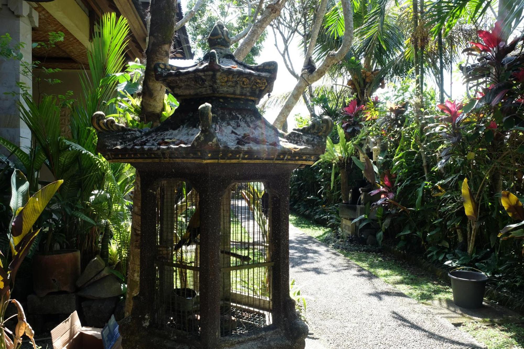 Suastika Guest House Ubud Zewnętrze zdjęcie