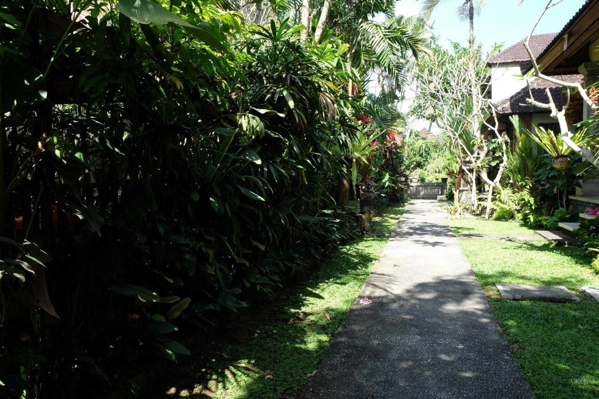 Suastika Guest House Ubud Zewnętrze zdjęcie